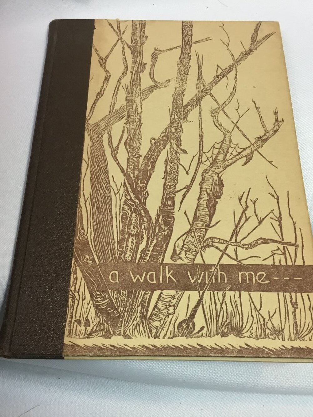 Vintage 1958 Gwen Frostic Block Print Nature Poetry Book A Walk With Me
